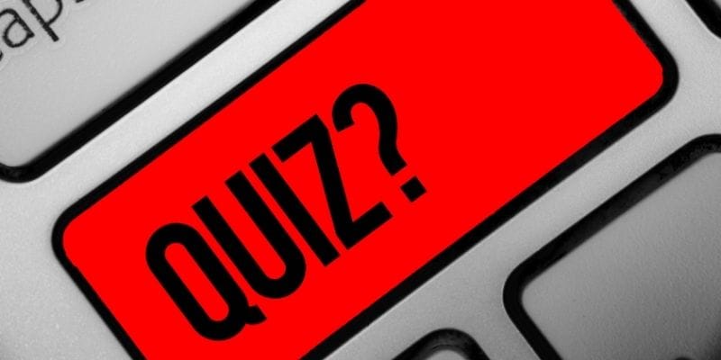 Trivia games to play with friends online