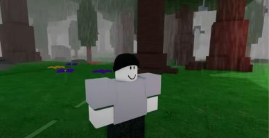 99 Nights in the Forest Codes