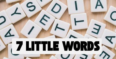 7 Little Words Clue