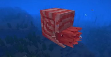 How To Tame Nautilus Minecraft